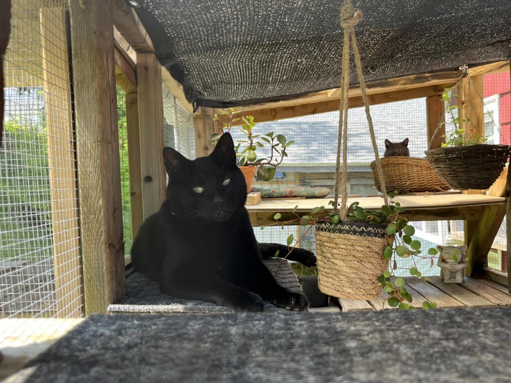 view of the Bridgewater catio